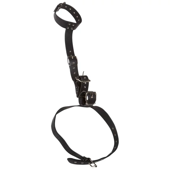 Bad Kitty Neck And Hand Restraints