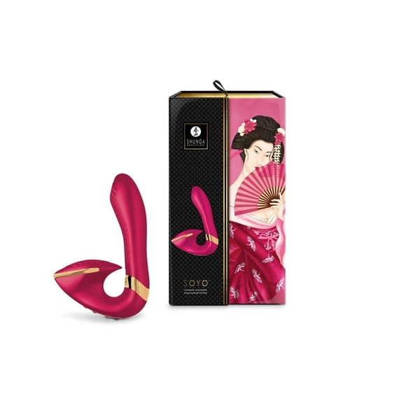 SOYO RASPBERRY