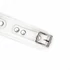 Kép 6/8 - Fuji White Collar with Leash