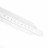 Kép 8/8 - Fuji White Collar with Leash