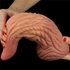 Kép 2/14 - 10'' Dual layered Platinum Silicone Tongue