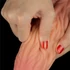 Kép 13/14 - 10'' Dual layered Platinum Silicone Tongue