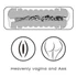 Kép 9/17 - Virgin-skin Blowout Double Side Stroker Vagina and Ass