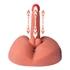 Kép 15/17 - Honey Ass Masturbator and Dildo Thrusting