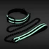 Kép 3/3 - GLO Bondage - Collar and Leash - Green